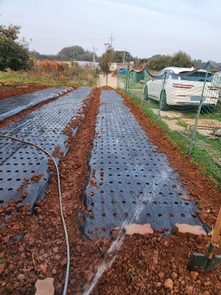 벙개도리님의 기타작물 · 영농일지 작성글 사진