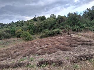 횡성농원님의 기타작물 · 영농일지 작성글 사진