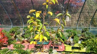 이상철님의 기타작물 · 영농일지 작성글 사진