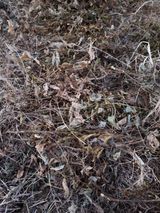 팜모닝 콩·영농일지 게시글 이미지