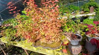 이상철님의 기타작물 · 영농일지 작성글 사진