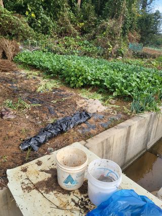 최병우님의 콩 · 영농일지 작성글 사진