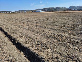 김영천님의 기타작물 · 영농일지 작성글 사진