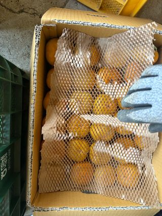 단감대봉시금치당님의 감 · 영농일지 작성글 사진