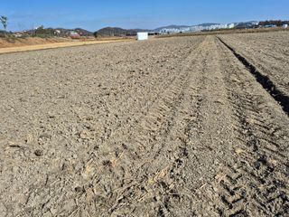 김영천님의 기타작물 · 영농일지 작성글 사진