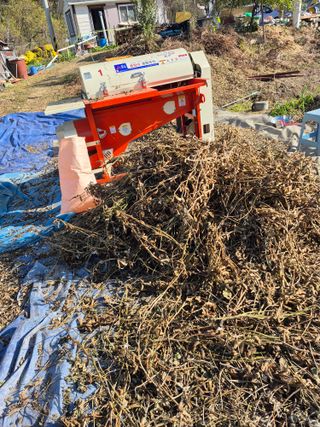 농부님.모두.모두힘님의 콩 · 영농일지 작성글 사진