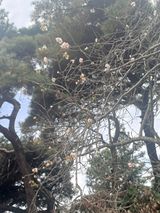 팜모닝 기타작물·영농일지 게시글 이미지