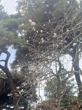 홍순오님의 기타작물 · 영농일지 작성글 사진