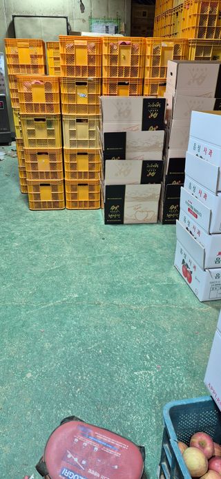 강성분님의 사과 · 영농일지 작성글 사진