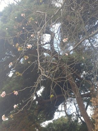 홍순오님의 기타작물 · 영농일지 작성글 사진