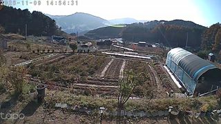 두원리 산막골농부님의 고추 · 영농일지 작성글 사진