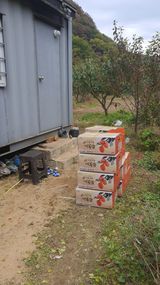 팜모닝 기타작물·영농일지 게시글 이미지