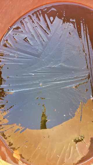 김홍중님의 기타작물 · 영농일지 작성글 사진