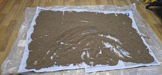 산골아찌님의 들깨 · 영농일지 작성글 사진