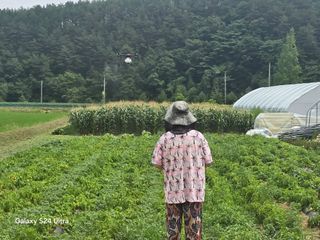 이의석님의 기타작물 · 영농일지 작성글 사진