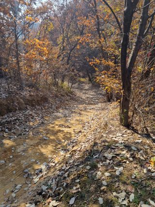 농부우님의 기타작물 · 영농일지 작성글 사진