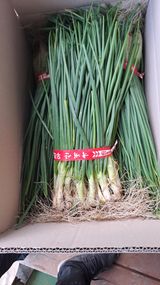 월굴리이승재님의 작성글 사진