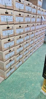 강성분님의 작성글 사진