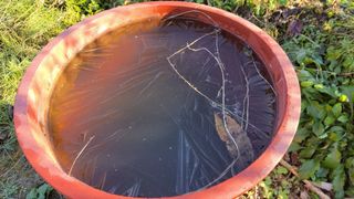 김홍중님의 기타작물 · 영농일지 작성글 사진