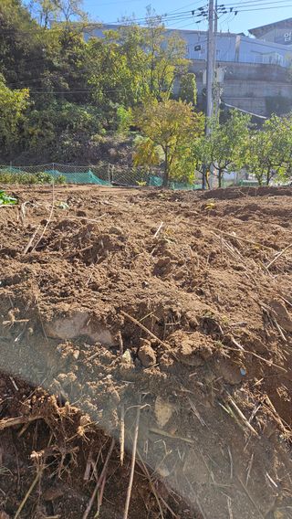 이순정님의 기타작물 · 영농일지 작성글 사진