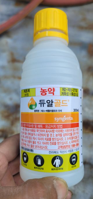 김경민님의 마늘 · 영농일지 작성글 사진