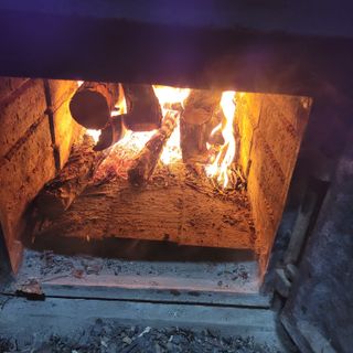 김선순(공룡자색마)님의 기타작물 · 영농일지 작성글 사진