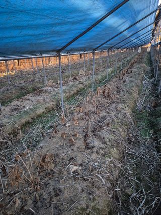 노나라138님의 기타작물 · 영농일지 작성글 사진