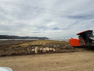 정조연님의 기타작물 · 영농일지 작성글 사진