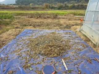 전경배님의 기타작물 · 영농일지 작성글 사진