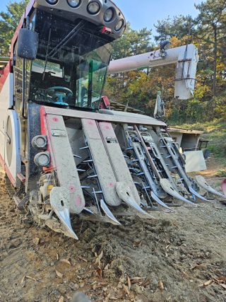 하이론님의 벼 · 영농일지 작성글 사진