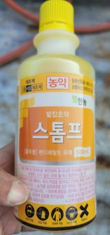 팜모닝 마늘·영농일지 게시글 이미지