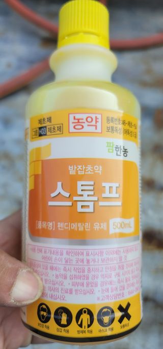 김경민님의 마늘 · 영농일지 작성글 사진