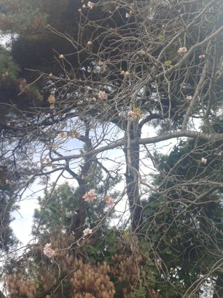 홍순오님의 기타작물 · 영농일지 작성글 사진