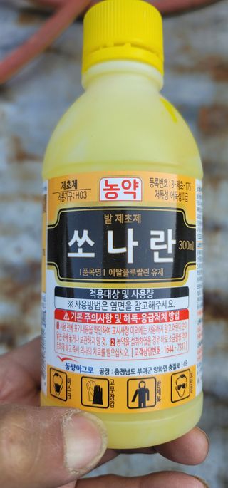 김경민님의 마늘 · 영농일지 작성글 사진