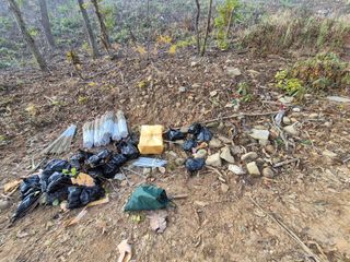 엉뚱님의 기타작물 · 영농일지 작성글 사진