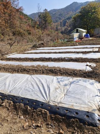 낙엽교목류21691님의 기타작물 · 영농일지 작성글 사진