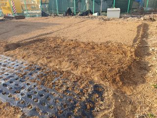 정병학님의 시금치 · 영농일지 작성글 사진