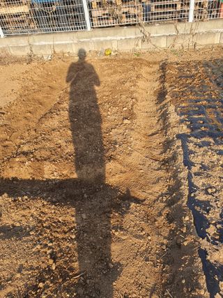 정병학님의 작성글 사진