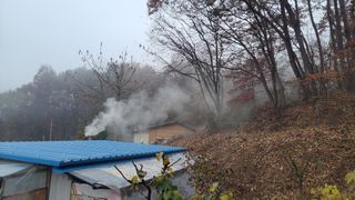 김홍중님의 두릅 · 영농일지 작성글 사진