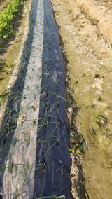 최춘득 청대산 님의 작성글 사진