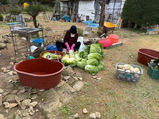 참깨10143님의 기타작물 · 영농일지 작성글 사진