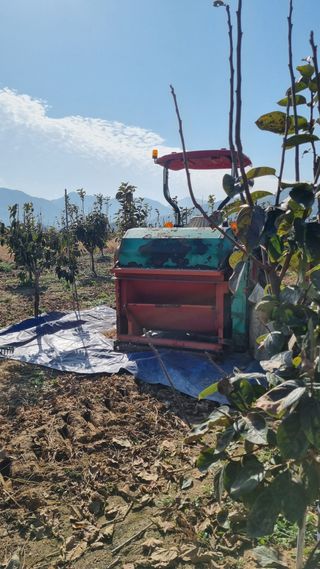 믿고사는농원-송미경님의 콩 · 영농일지 작성글 사진