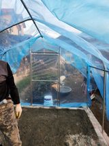 팜모닝 기타작물·영농일지 게시글 이미지