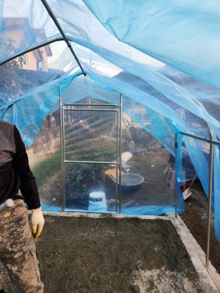 김영숙님의 기타작물 · 영농일지 작성글 사진