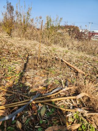 박병한님의 복숭아 · 영농일지 작성글 사진