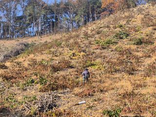 엉뚱님의 기타작물 · 영농일지 작성글 사진