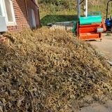 팜모닝 기타작물·영농일지 게시글 이미지