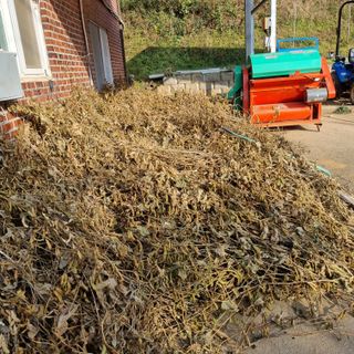 권오택님의 기타작물 · 영농일지 작성글 사진