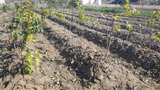 최춘득 청대산 님의 작성글 사진