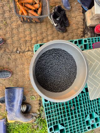 이준영님의 기타작물 · 영농일지 작성글 사진